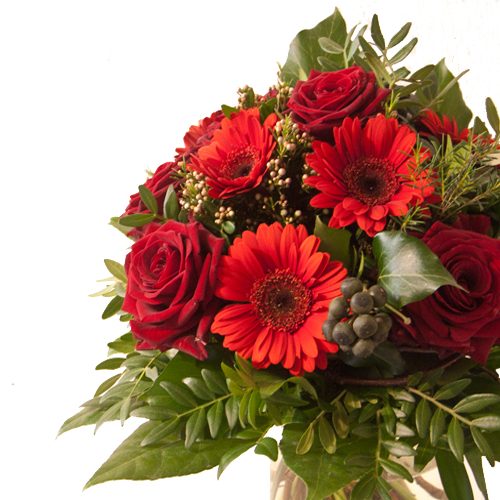 rote Rosen mit Gerbera