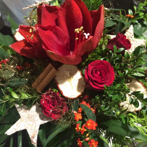 Strauß Amaryllis in rot