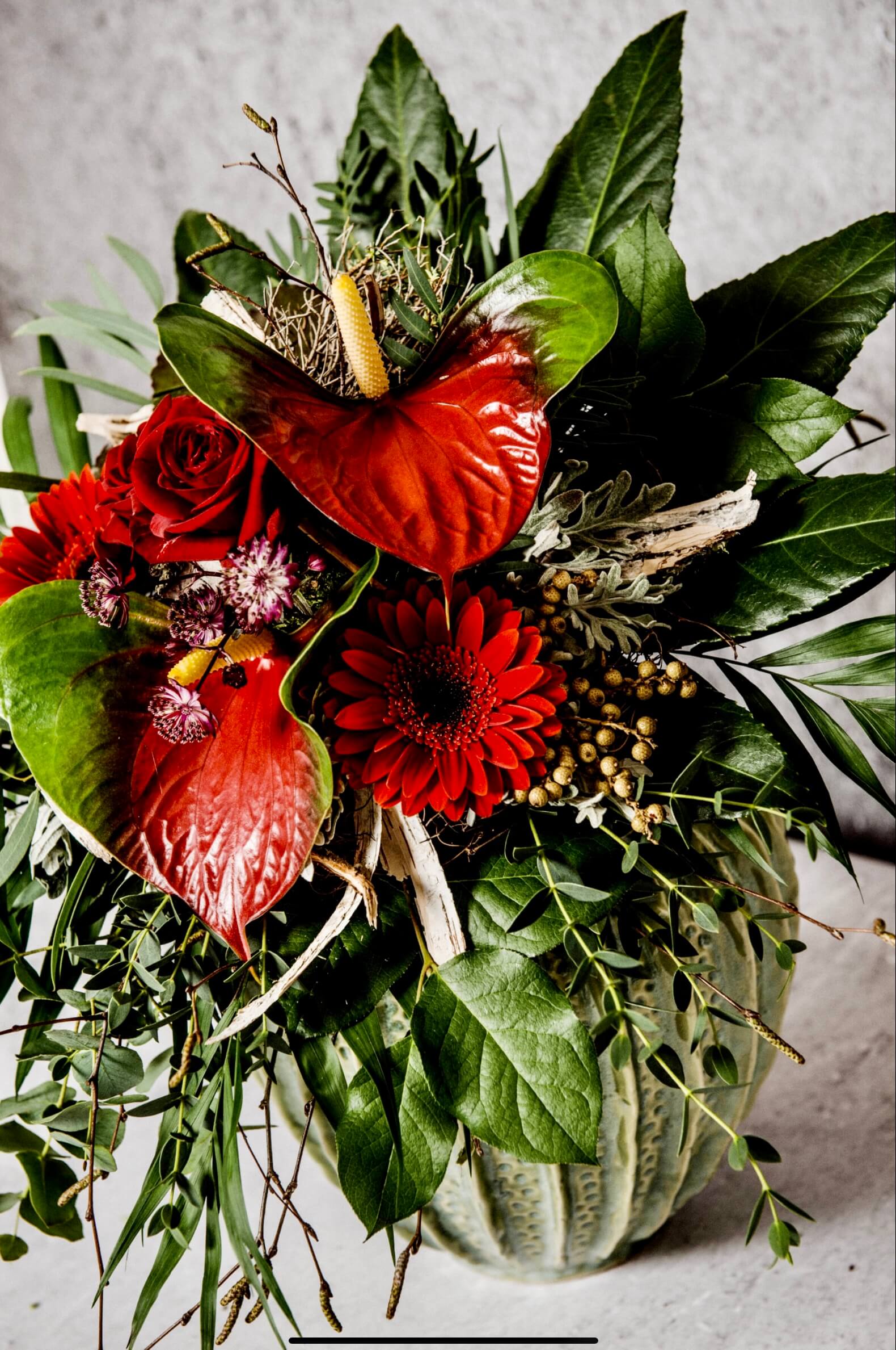 48+ Tropische Blumen Namen, Sie verleihen jedem garten und jedem