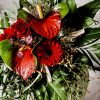 Blumenstrauß mit Anthurien in rot