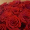 Strauß rote Rosen
