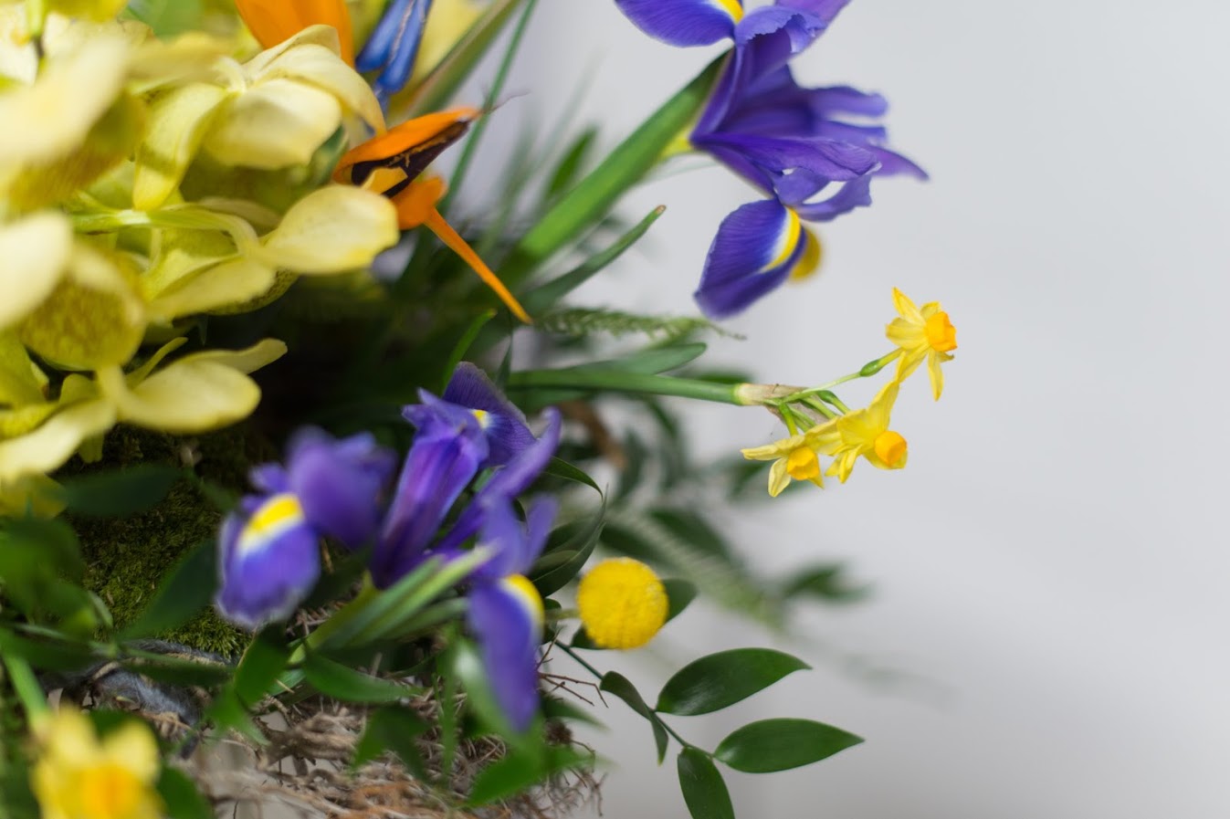 Flower Abo Abo 4 mal 1