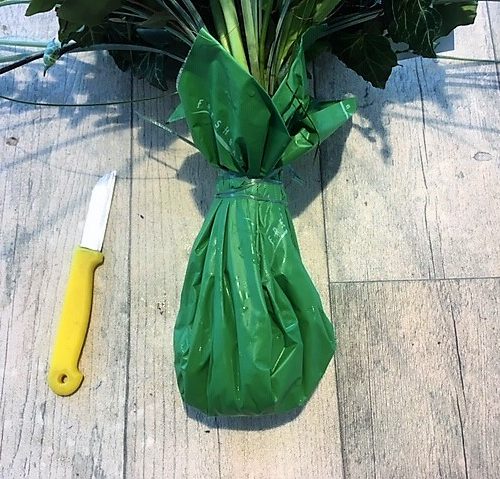 Strauss mit Frischepack