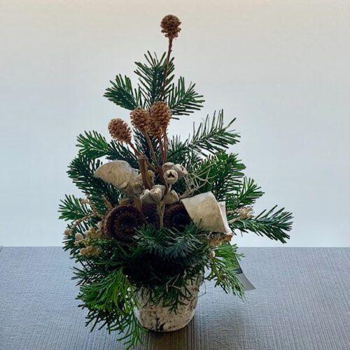 Gesteckt in Birkentopf und Steckmasse